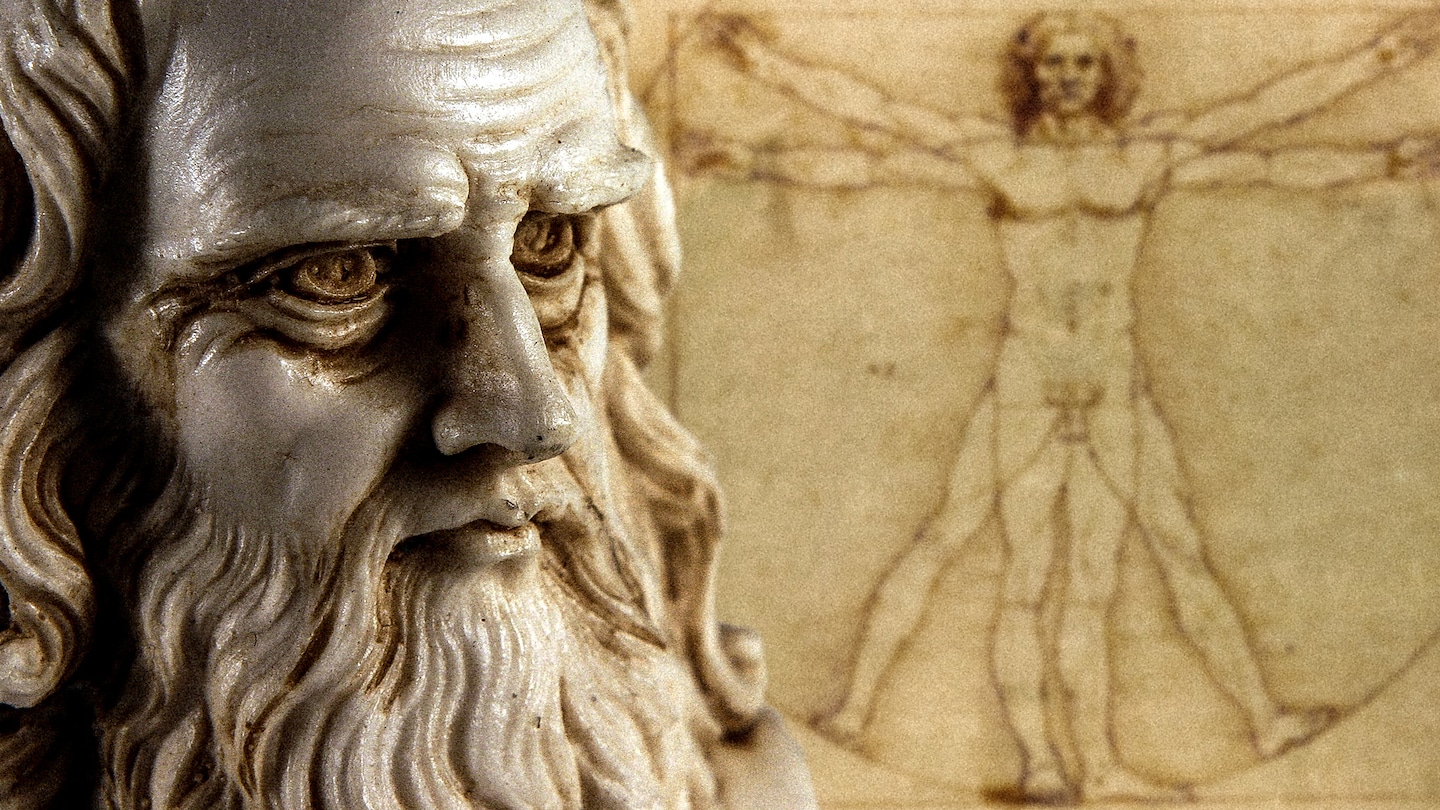 Leonardo da Vinci. L'ultimo ritratto - RaiPlay