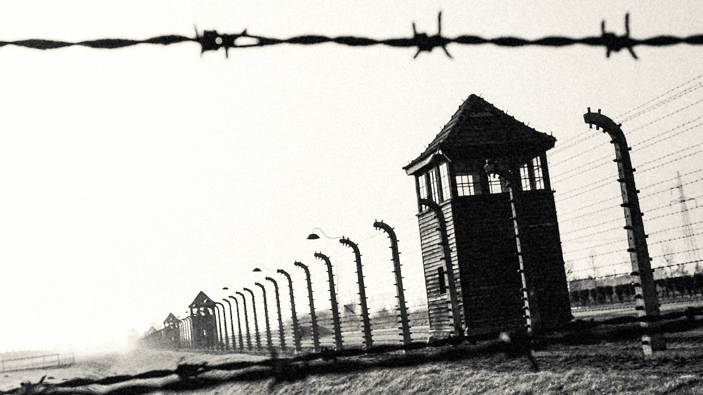 Testimoni di Auschwitz - RaiPlay