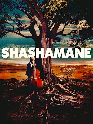 Shashamane. Sulle tracce della terra promessa - RaiPlay