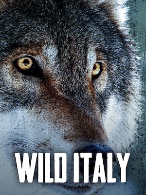 Wild Italy - RaiPlay