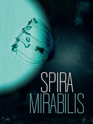 Spira Mirabilis - RaiPlay