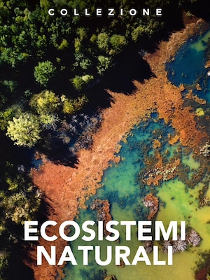 Ecosistemi naturali - RaiPlay