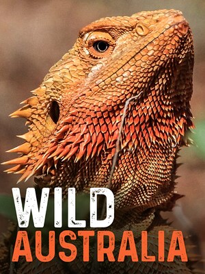 Wild Australia - RaiPlay