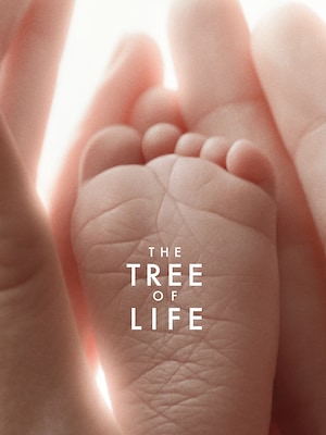 The Tree of Life - RaiPlay