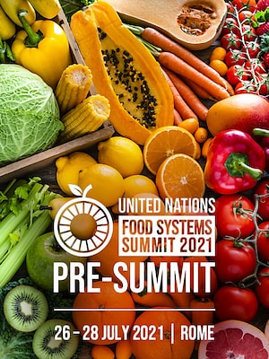 United Nations - Food Systems Summit - RaiPlay