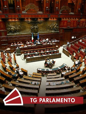 Tg Parlamento - RaiPlay
