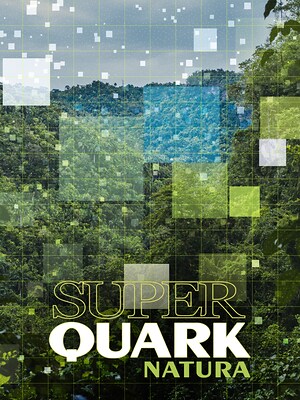 Superquark Natura - RaiPlay
