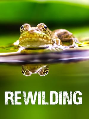 Rewilding - RaiPlay
