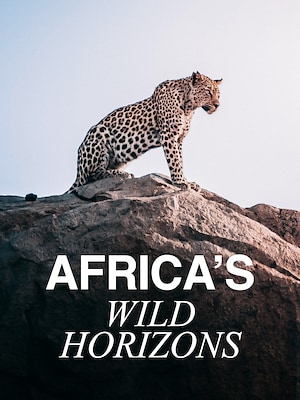 Africa's Wild Horizons - RaiPlay
