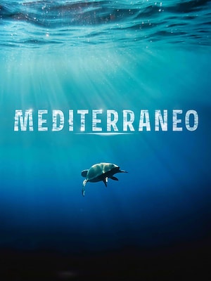 Mediterraneo - RaiPlay