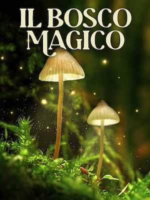 Il bosco magico - RaiPlay