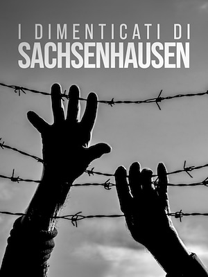 I dimenticati di Sachsenhausen - RaiPlay