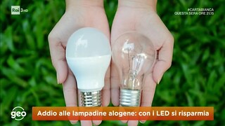 Addio alle lampadine alogene: con i led si risparmia - RaiPlay