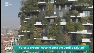 Foreste urbane: ecco le città più verdi e salutari - RaiPlay