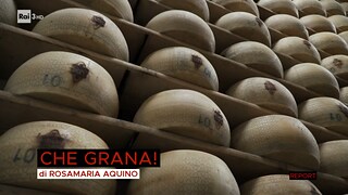 Che Grana! - Report 03/01/2022 - RaiPlay