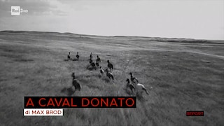 A caval donato - Report 10/01/2022 - RaiPlay