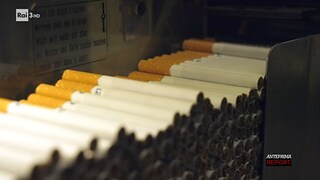 Report. Fumo, 8milioni di morti anche a causa delle sigarette aromatizzate - RaiPlay