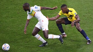 Mondiali di calcio Qatar 2022 - Ecuador - Senegal: la sintesi - 29/11/2022 - RaiPlay