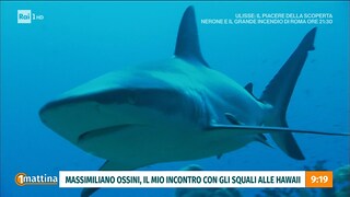 1mattina. Massimiliano Ossini: "Il mio incontro con gli squali" - RaiPlay