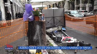 La Vita in diretta. Il dramma di Teresa uccisa da un albero a Roma Monteverde - RaiPlay