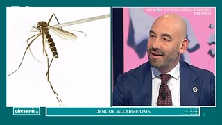 Che Sarà. Bassetti: "Allarme Dengue, i sintomi e la terapia" - RaiPlay