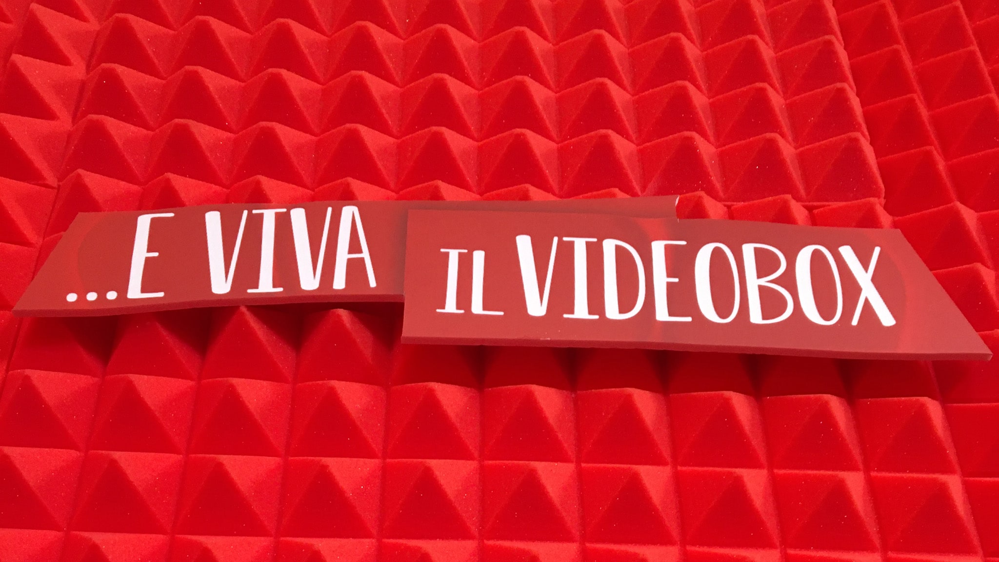 Rai 2 E viva il Videobox del 12/02/2024