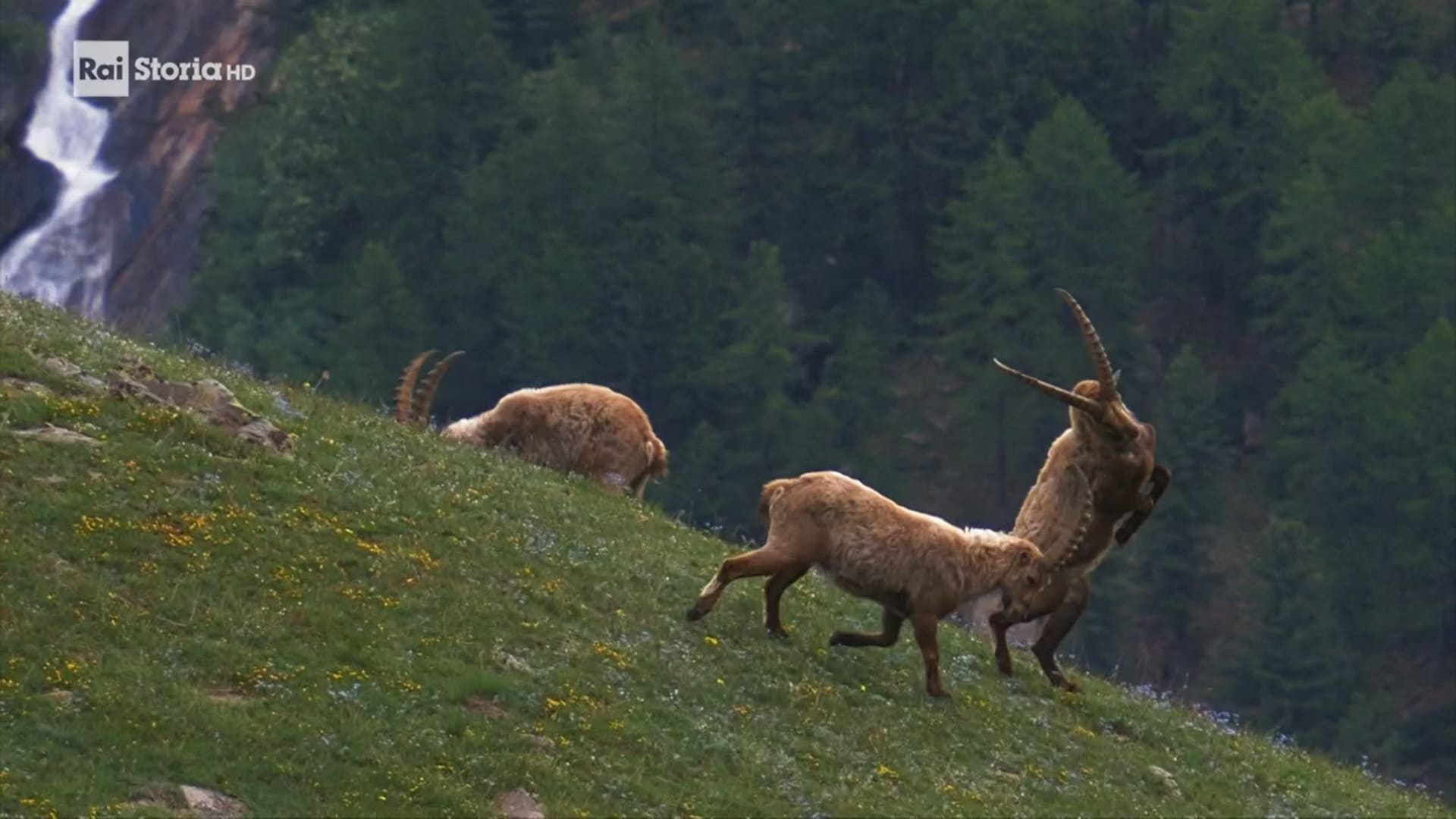 Italia: viaggio nella bellezza