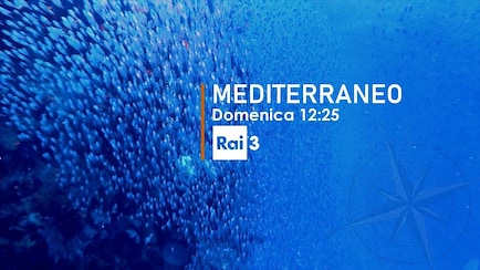TGR Mediterraneo
